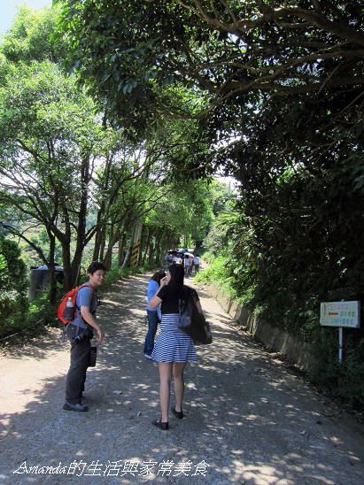 八里,八里竹筍,新北市,柯以柔,桃樂絲,桃樂絲餐廳,森林餐廳,竹筍,竹筍節,食尚玩家 @Amanda生活美食料理 八里,八里竹筍,新北市,柯以柔,桃樂絲,桃樂絲餐廳,森林餐廳,竹筍,竹筍節,食尚玩家 @Amanda生活美食料理