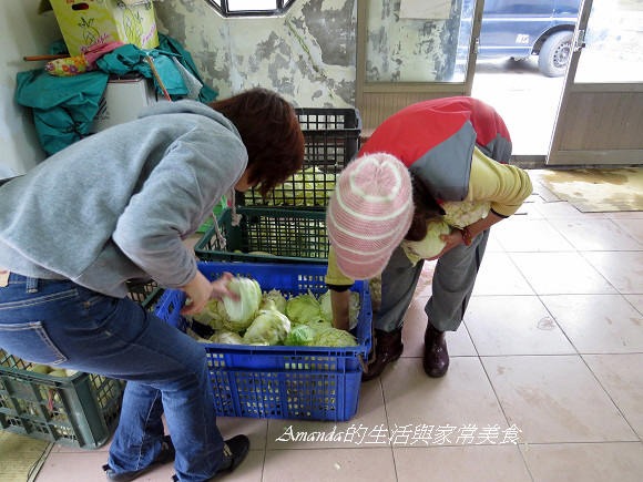 媒體,料理教學,泡菜醃漬,烹飪教學,馬祖三寶 @Amanda生活美食料理 媒體,料理教學,泡菜醃漬,烹飪教學,馬祖三寶 @Amanda生活美食料理