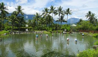 五餅二魚,台灣好行,壽豐,壽豐景點,立川漁場,立川漁場五餅二魚,立川漁場五餅二魚菜單2025,立川漁場貴妃魚,立川魚場,縱谷花蓮線,花蓮,花蓮免費景點,花蓮景點,花蓮美食,花蓮貴妃魚,花蓮餐廳,貴妃魚料理,貴妃魚是什麼魚,黃金蜆 @Amanda生活美食料理