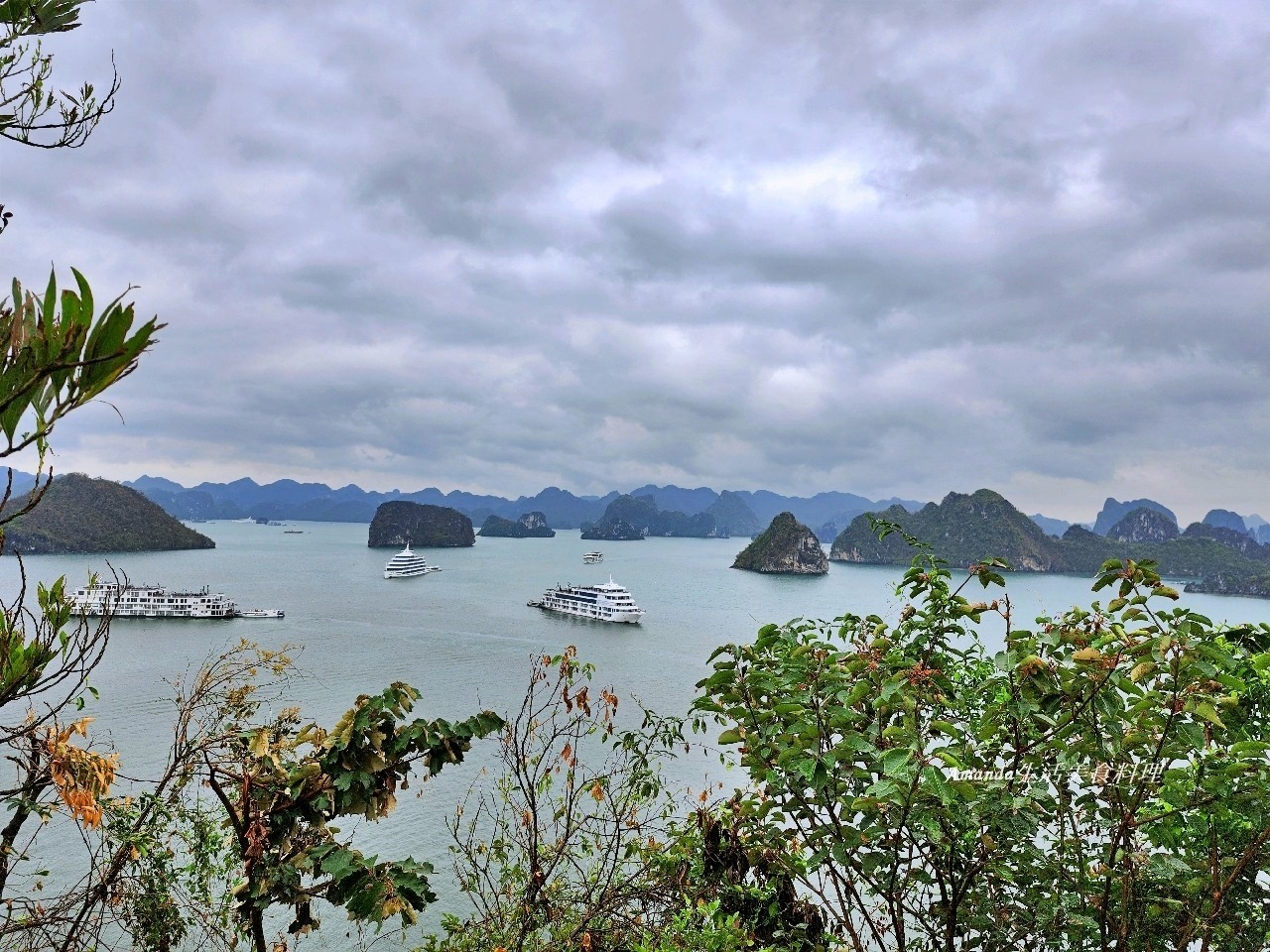 TITOP島,下龍灣,下龍灣 快艇,下龍灣 英雄島,下龍灣快艇,下龍灣快艇值得嗎,下龍灣快艇費用,下龍灣景點,下龍灣英雄島,下龍灣郵輪,世界自然遺產,北越下龍灣,北越郵輪,快艇遊下龍灣,英雄島,英雄島 越南,英雄島階梯,越南下龍灣,越南下龍灣世界自然遺產-TITOP島【英雄島】,越南快艇,越南景點,越南英雄島,郵輪下龍灣,郵輪旅行,驚奇洞郵輪 @Amanda生活美食料理 TITOP島,下龍灣,下龍灣 快艇,下龍灣 英雄島,下龍灣快艇,下龍灣快艇值得嗎,下龍灣快艇費用,下龍灣景點,下龍灣英雄島,下龍灣郵輪,世界自然遺產,北越下龍灣,北越郵輪,快艇遊下龍灣,英雄島,英雄島 越南,英雄島階梯,越南下龍灣,越南下龍灣世界自然遺產-TITOP島【英雄島】,越南快艇,越南景點,越南英雄島,郵輪下龍灣,郵輪旅行,驚奇洞郵輪 @Amanda生活美食料理