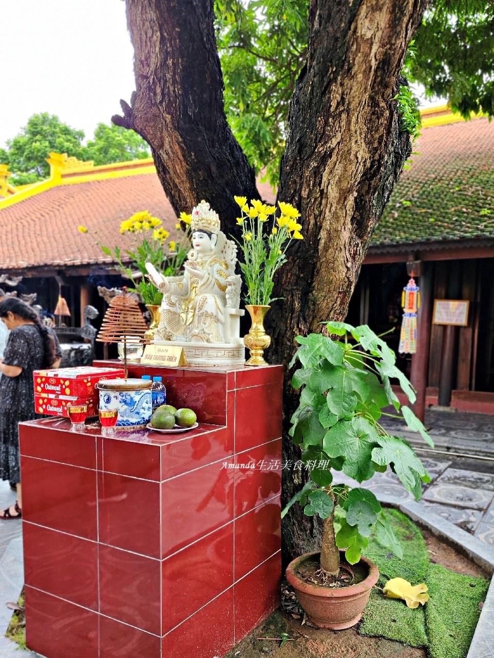 北越菩提樹,北越鎮國寺,印度 菩提伽耶釋迦牟尼,印度菩提樹,河內 鎮國寺,河內鎮國寺,河内镇国寺,菩提伽耶釋迦牟尼,菩提樹,西湖 越南,西湖鎮國寺,鎮國古寺,鎮國寺,鎮國寺 河內,鎮國寺 越南,鎮國寺河內,鎮國寺菩提樹,鎮國寺越南 @Amanda生活美食料理